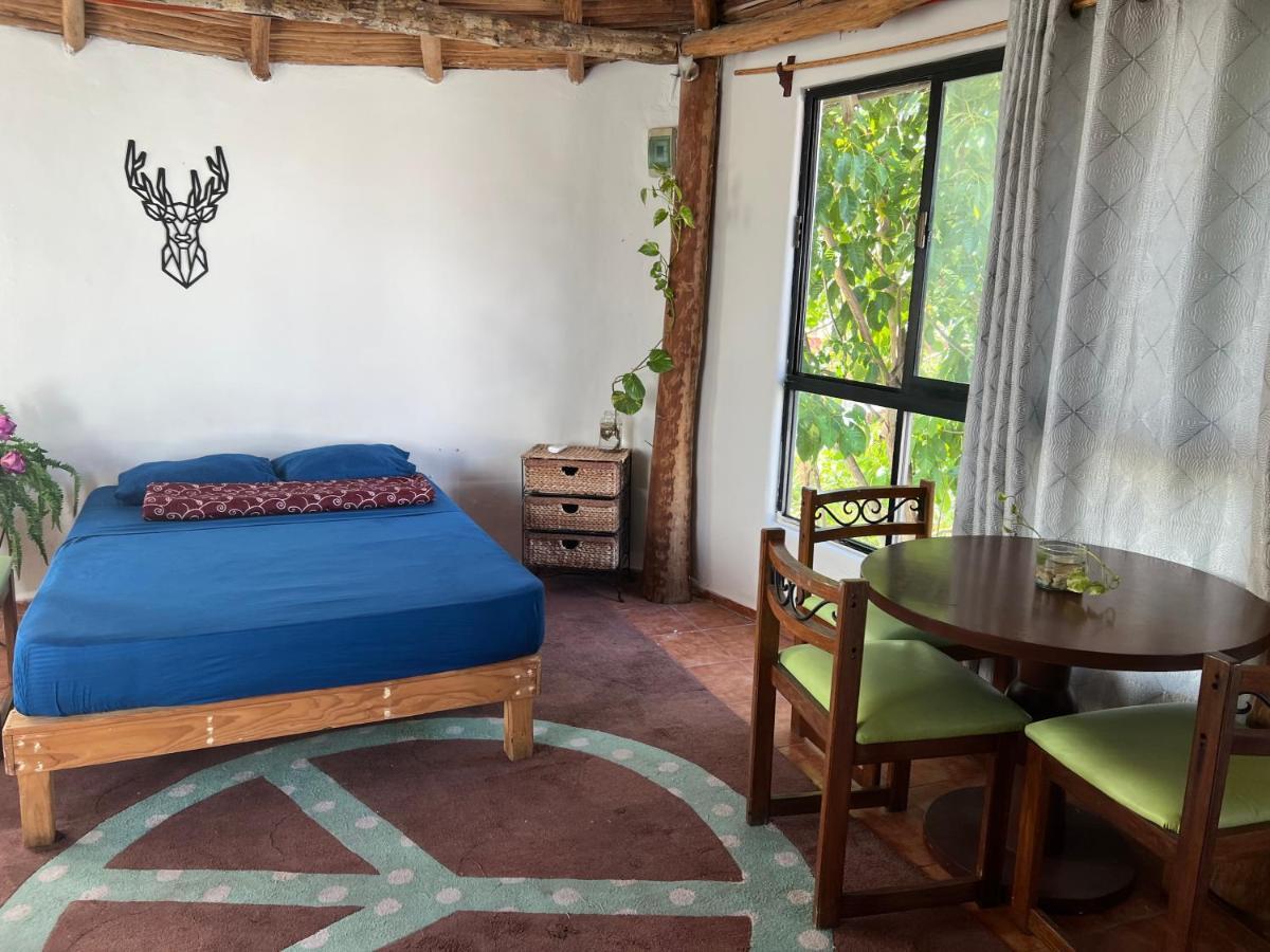 Villa Blanca Cancún Dış mekan fotoğraf